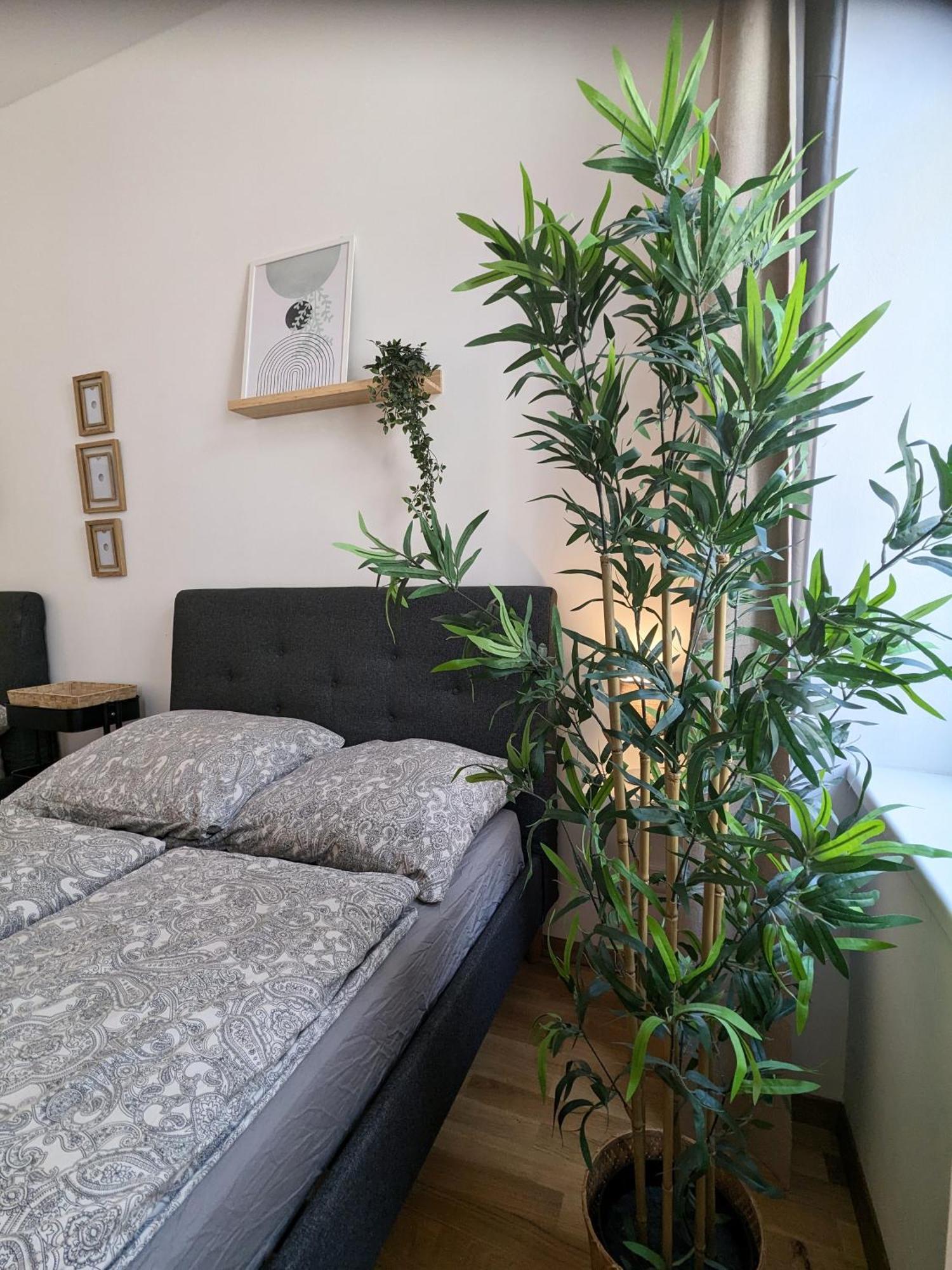 Renovated Studio - 10 Min To Center Відень Екстер'єр фото